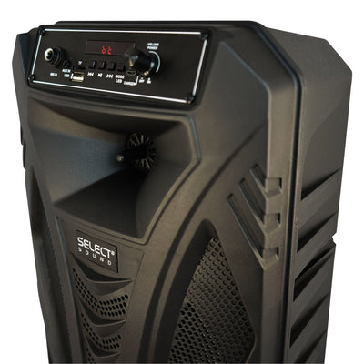 Bafle 8" Raven BT1109 con Tws, Bluetooth - Selectsound.com.mx