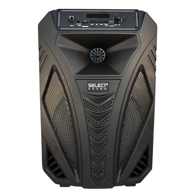 Bafle 8" Raven BT1109 con Tws, Bluetooth - Selectsound.com.mx
