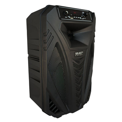Bafle 8" Raven BT1109 con Tws, Bluetooth - Selectsound.com.mx